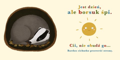 Książeczka Rok w lesie. Borsuk Książeczka Rok w lesie. Borsuk