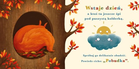 Książeczka Rok w lesie. Wiewiórka Książeczka Rok w lesie. Wiewiórka