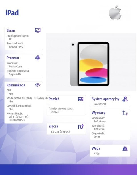 IPad WiFi 11 cali 256GB Srebrny