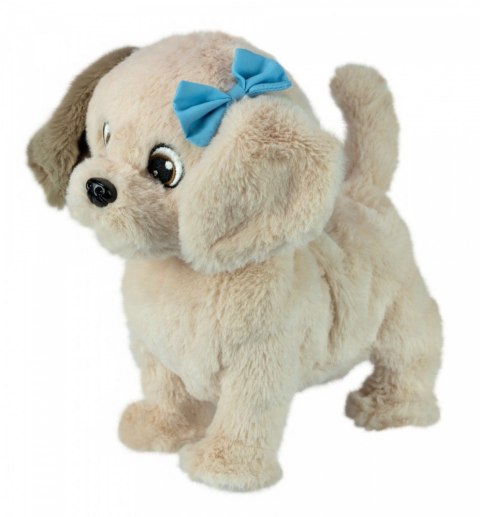 Maskotka interaktywna Puppy Luv Piesek Labrador Meggy Maskotka interaktywna Puppy Luv Piesek Labrador Meggy