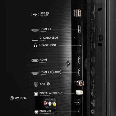 Telewizor LED 55 cali 55A6Q Telewizor LED 55 cali 55A6Q